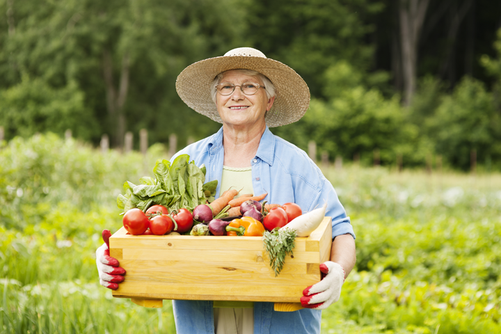 New Hope For Macular Degeneration